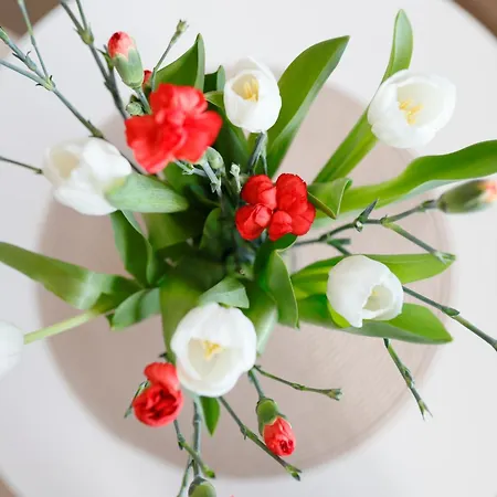 Meerblick D9 Mit Balkon Und Schwimmbad *